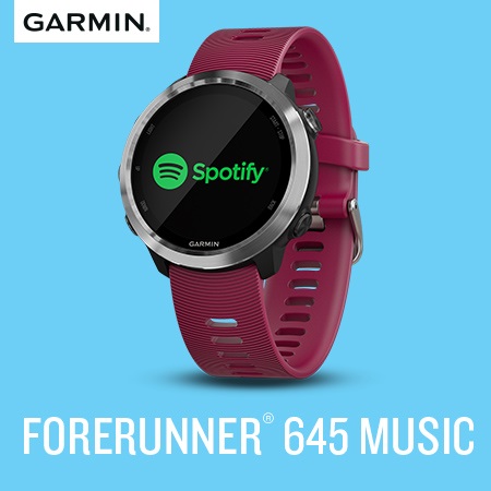GRAMIN Forerunner 645 Music