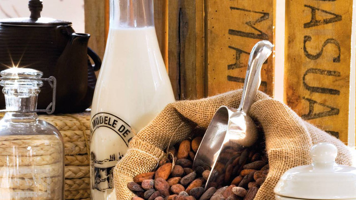 Semillas de cacao y leche